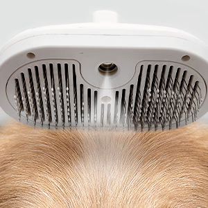 Steam Spray Brush for Pets