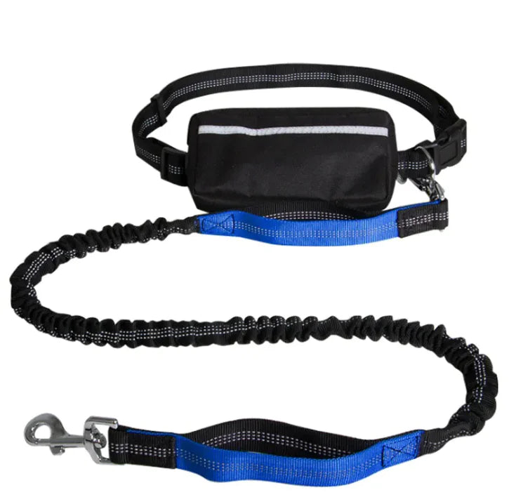 Hands-Free Reflective Dog Leash — Retractable Running Lead