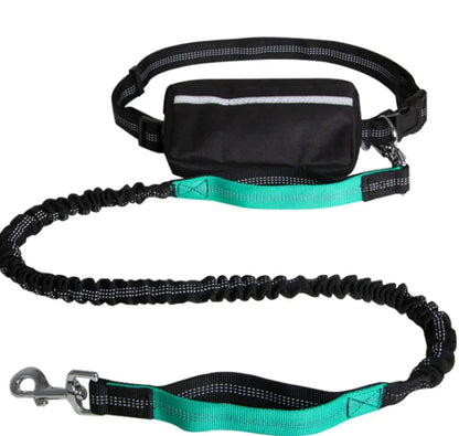 Hands-Free Reflective Dog Leash — Retractable Running Lead