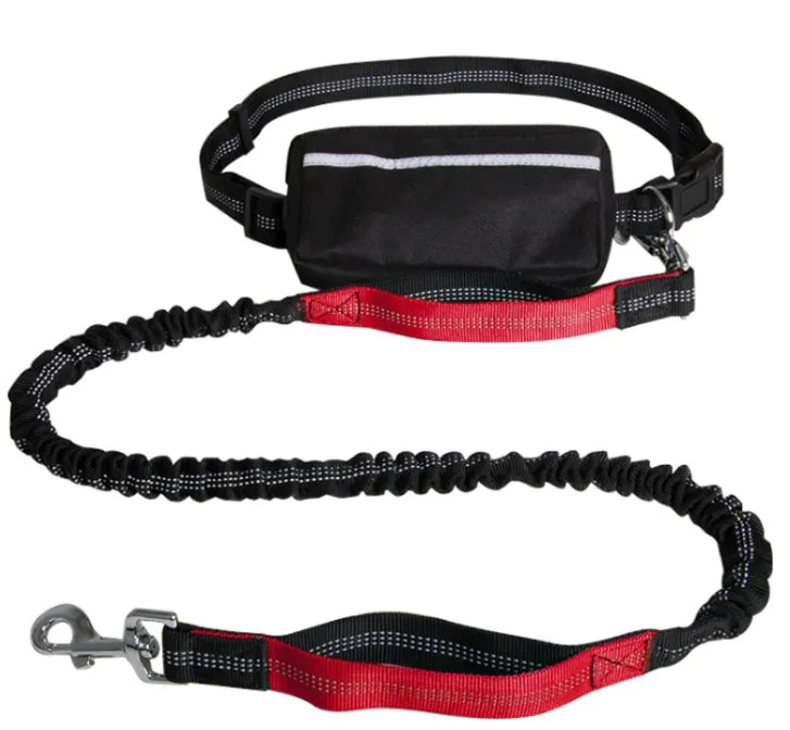 Hands-Free Reflective Dog Leash — Retractable Running Lead