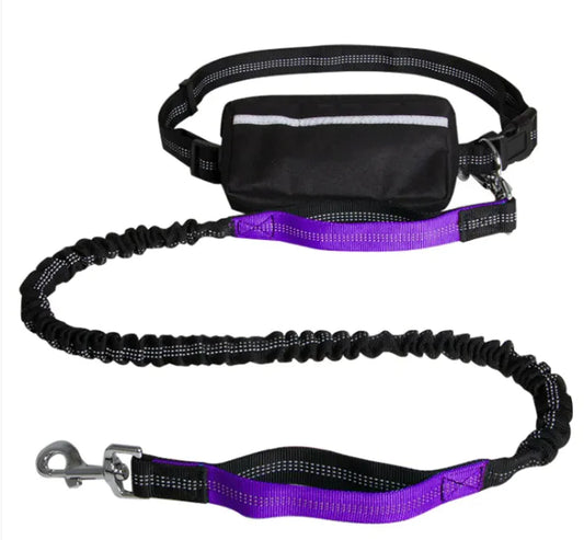 Hands-Free Reflective Dog Leash — Retractable Running Lead
