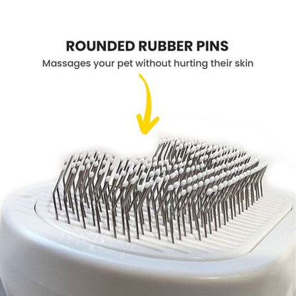 Steam Spray Brush for Pets