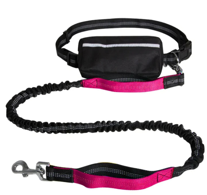 Hands-Free Reflective Dog Leash — Retractable Running Lead