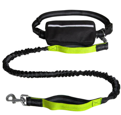 Hands-Free Reflective Dog Leash — Retractable Running Lead